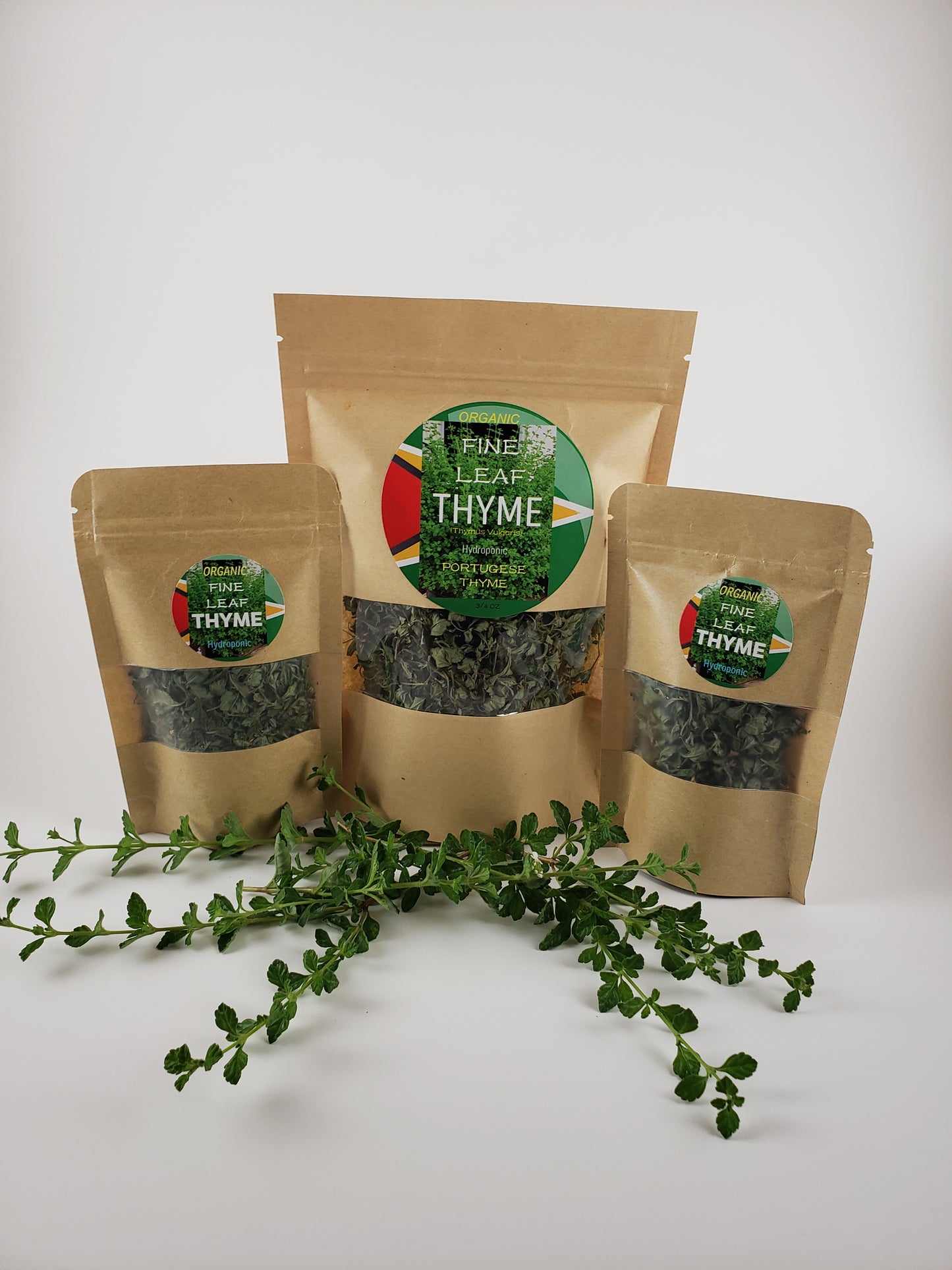 Guyana Fine Leaf Thyme NEW LARGER PACKS Organic No Pesticides Portuguese Thyme Thymus Vulgaris