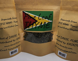 Guyana Fine Leaf Thyme NEW LARGER PACKS Organic No Pesticides Portuguese Thyme Thymus Vulgaris