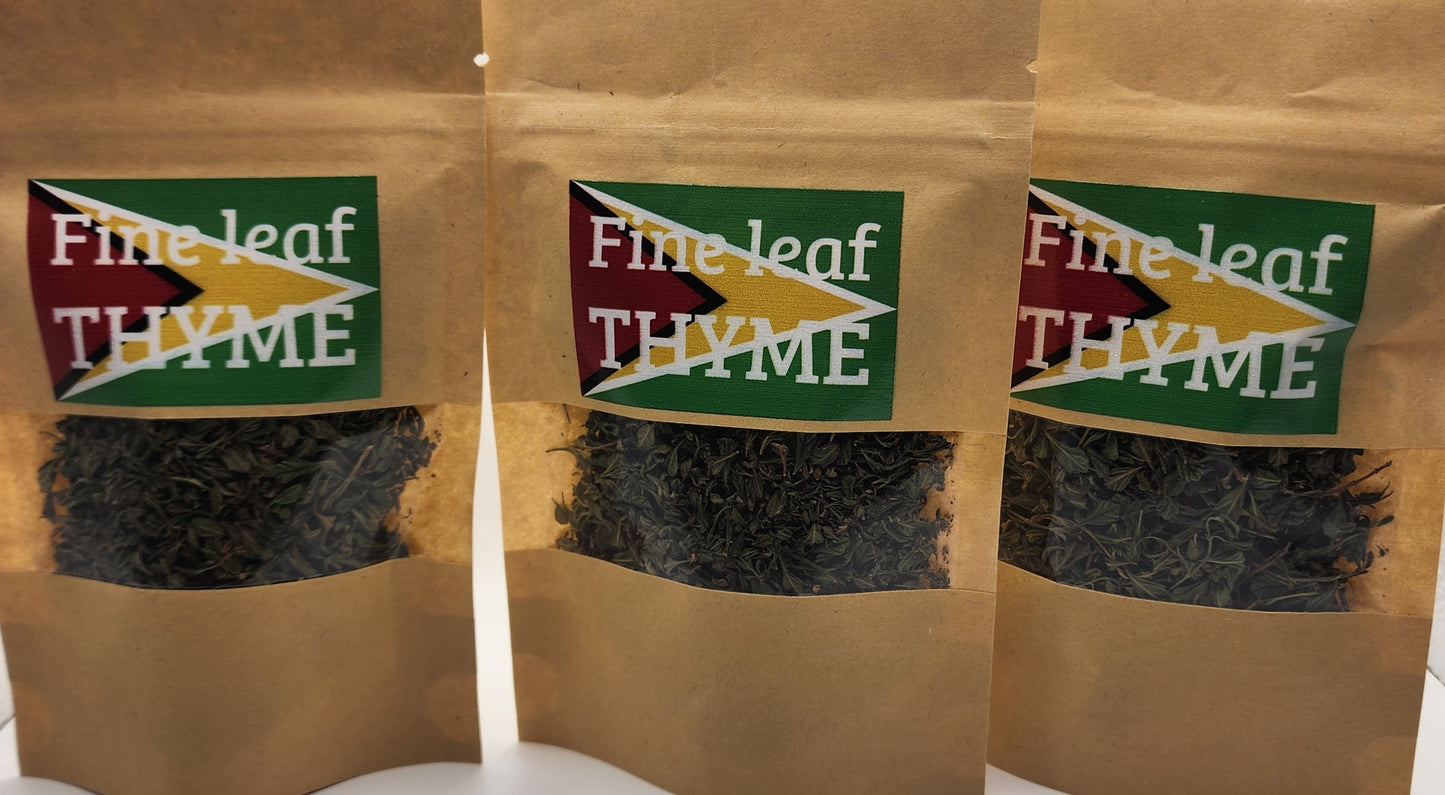 Guyana Fine Leaf Thyme NEW LARGER PACKS Organic No Pesticides Portuguese Thyme Thymus Vulgaris
